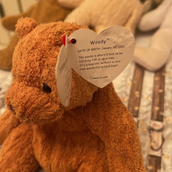 Ty Beanie Babies Bear Collection— 4 Bears NWT - Picture 5 of 7